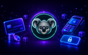 Кастомний платіжний плагін для WordPress / WooCommerce